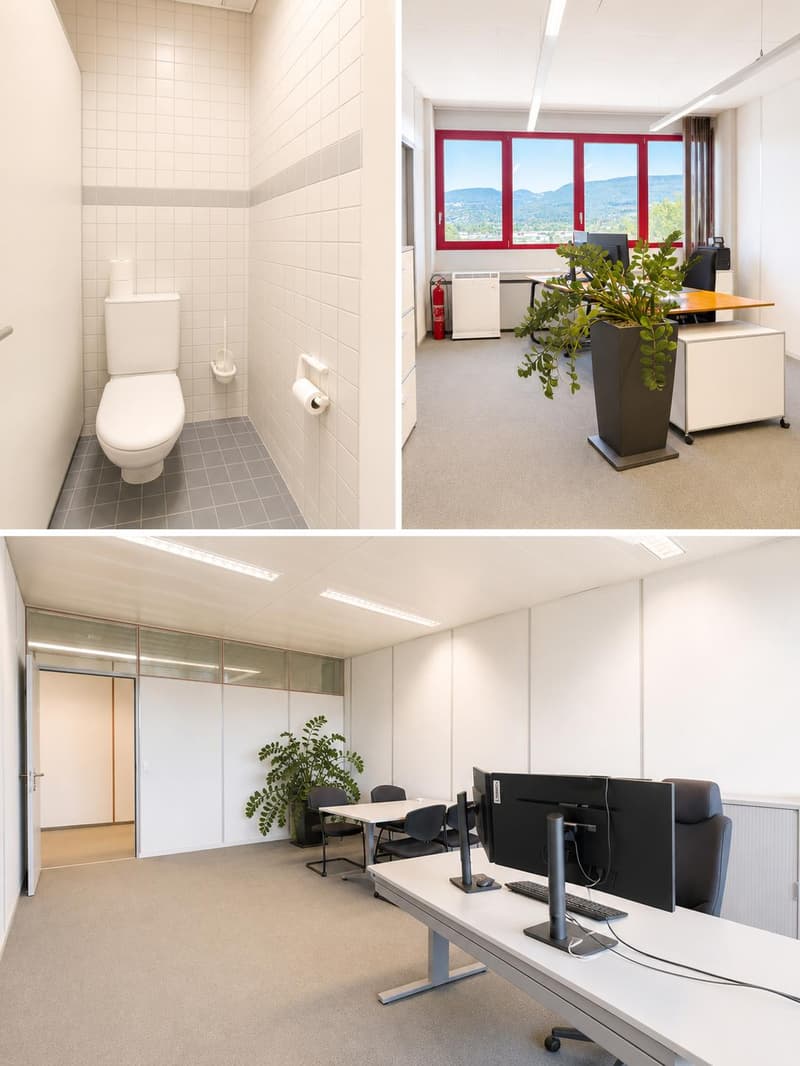 Helle Bürofläche in Buchs (4)