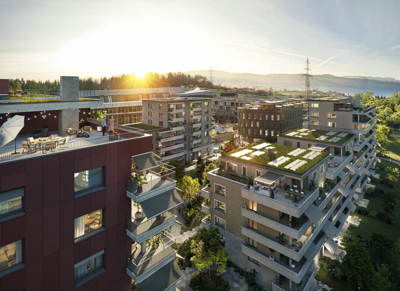 1.5-Zimmerwohnung im CHAMA-Areal (1)