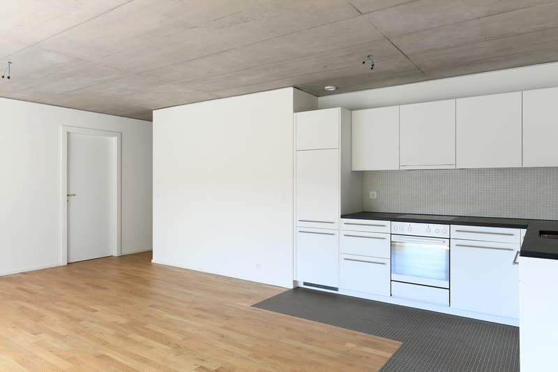 Aussergewöhnliche Wohnung mit Charme (2)