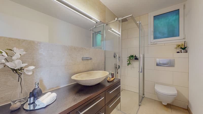 Bathroom with large sink bowl, white toilet, shower cubicle, tiled walls, small decorative shelves, modern furniture, white flowers in vase.