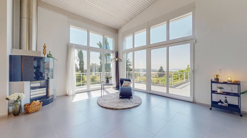Open room with fireplace, rug, and glass doors leading to balcony with view, modern minimalistic design