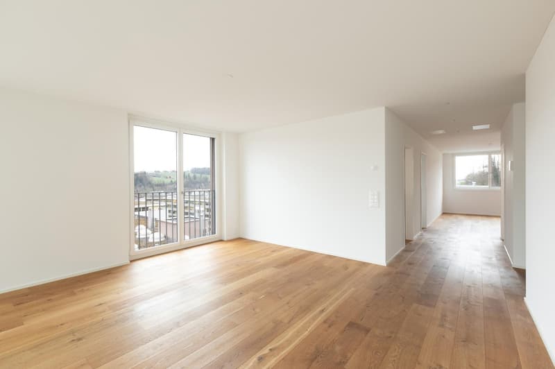 Modern 3.5-room terrace apartment on the 6th floor in Lucerne (4)