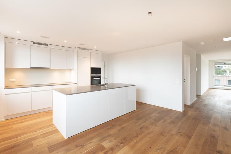 Modern 3.5-room terrace apartment on the 6th floor in Lucerne (1)