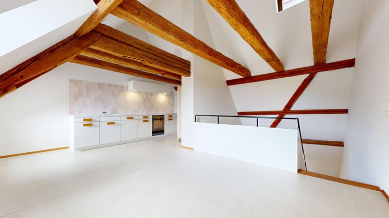 Ein Lebensentwurf am Rhein - Wohnen im historischen Toggenburgerhaus in Diessenhofen (1)