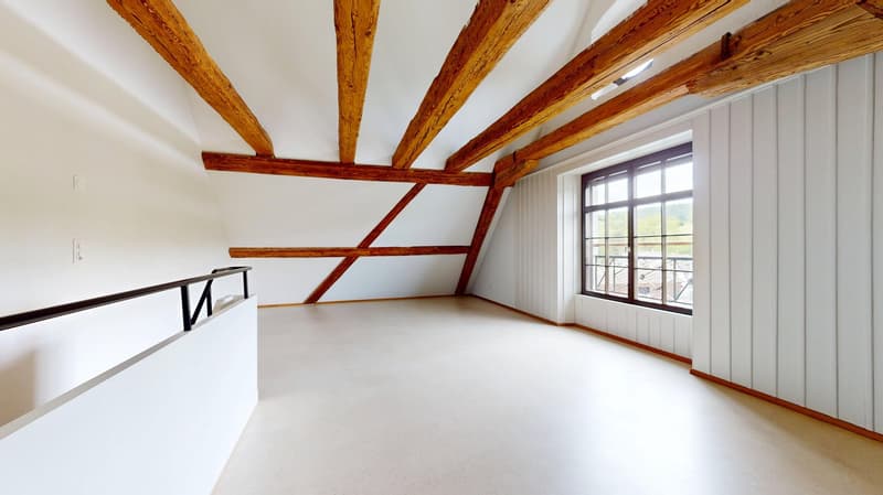 Ein Lebensentwurf am Rhein - Wohnen im historischen Toggenburgerhaus in Diessenhofen (6)