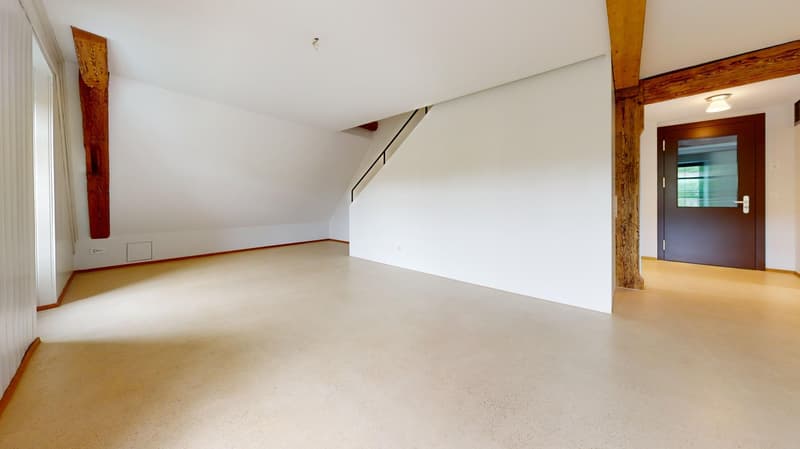 Ein Lebensentwurf am Rhein - Wohnen im historischen Toggenburgerhaus in Diessenhofen (4)