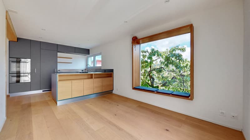 5.5-Zimmer-Einfamilienhaus mit Garten und traumhafter Aussicht über Luzern (2)