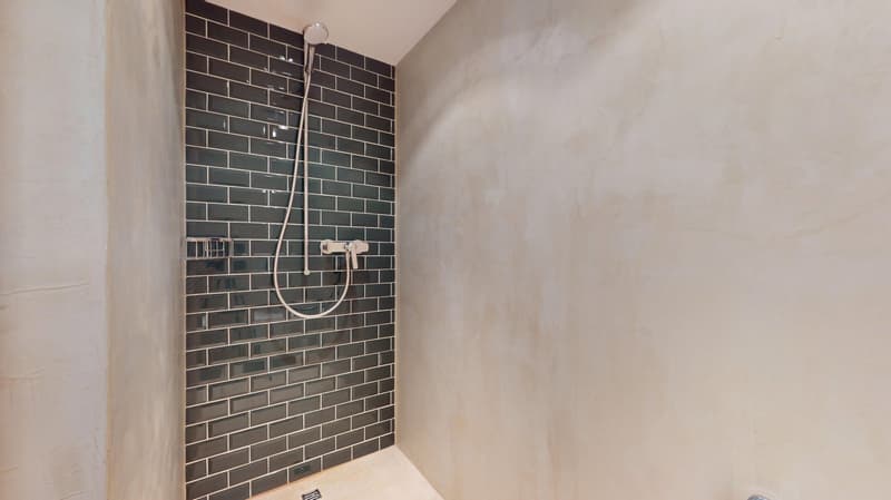 Frisch renovierte 3-Zimmer-Wohnung mit privatem Garten (9)