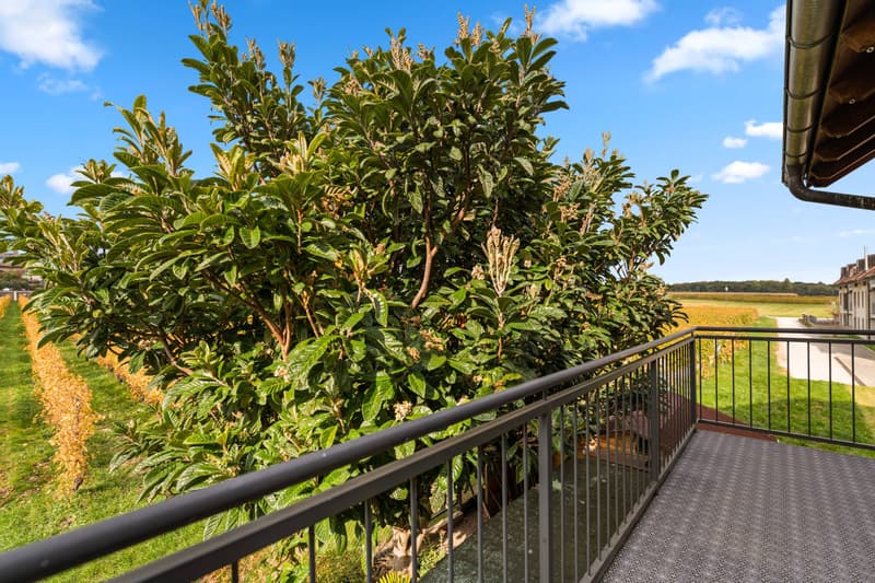 Spacious 4.5-room apartment with unobstructed view (5)