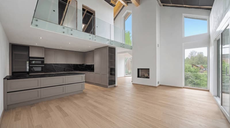 Contemporary new exceptional villa comprising two independent apartments (3)