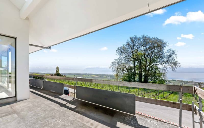 New luxury villa with panoramic view of Lake Geneva (7)
