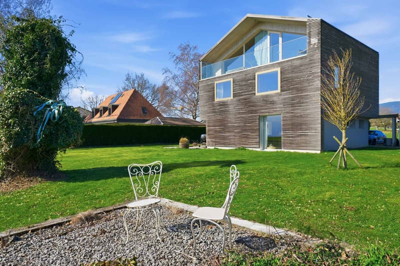 Beautiful house with lake view and Mont-Blanc, 4 bedrooms - Large garden (4)