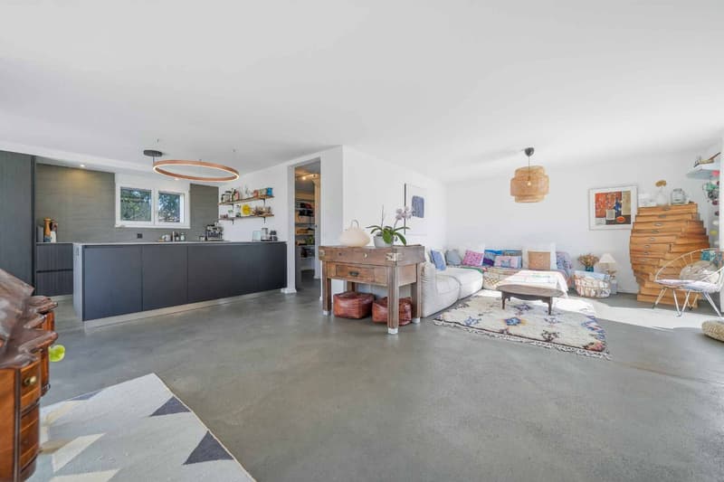 Beautiful house with lake view and Mont-Blanc, 4 bedrooms - Large garden (6)