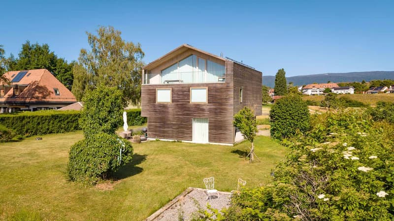 Belle maison avec vue lac et Mont-Blanc 4 chambres - Grand jardin (3)