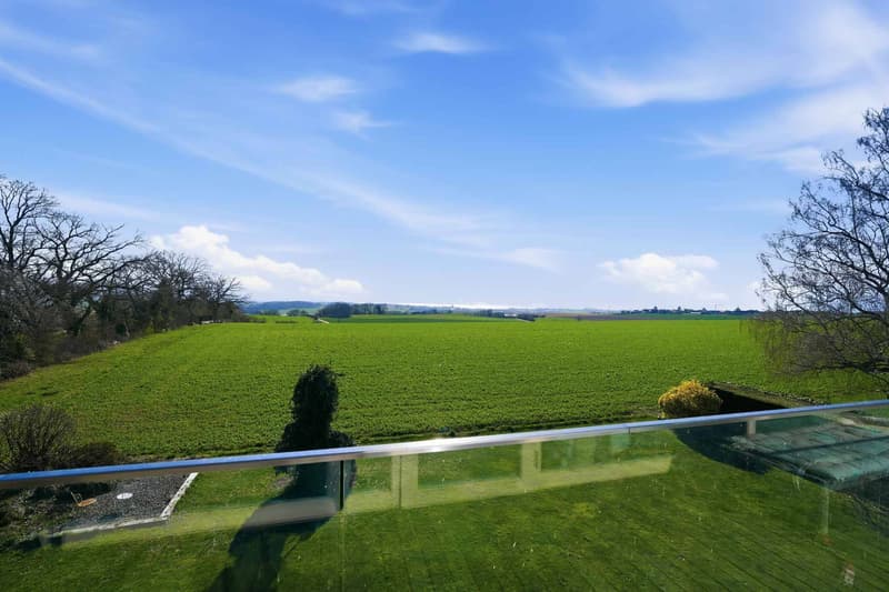 Beautiful house with lake view and Mont-Blanc, 4 bedrooms - Large garden (10)