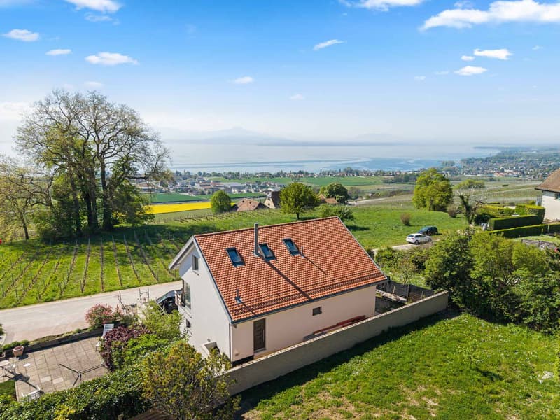 Villa neuve de standing avec vue panoramique sur le lac Léman (7)