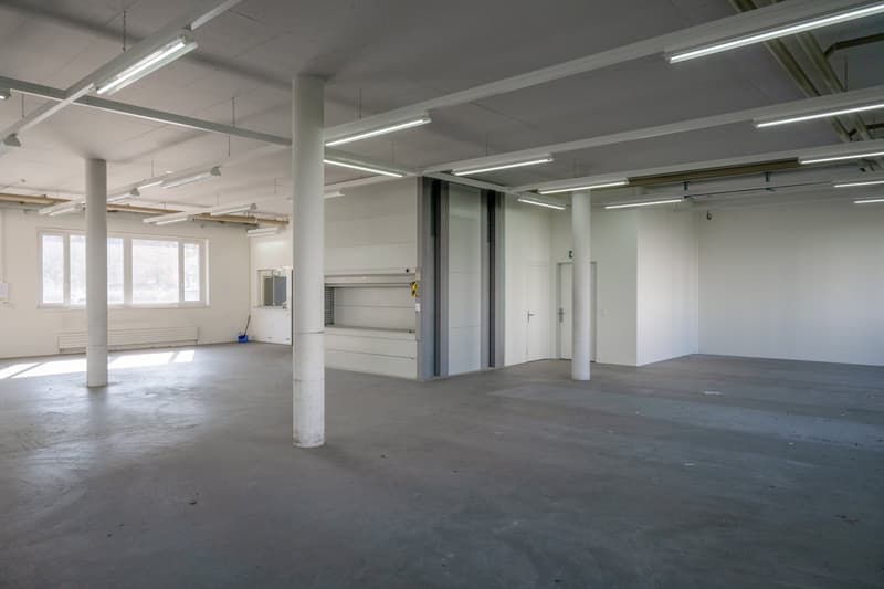 spacious, concrete floor, white walls, florescent lighting, utility room in the background