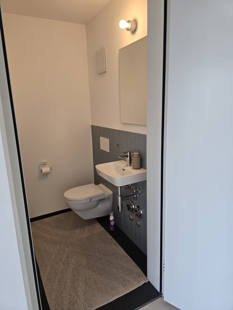 Moderne 2-Zimmer-Attikawohnung in Affoltern am Albis zu vermieten (9)