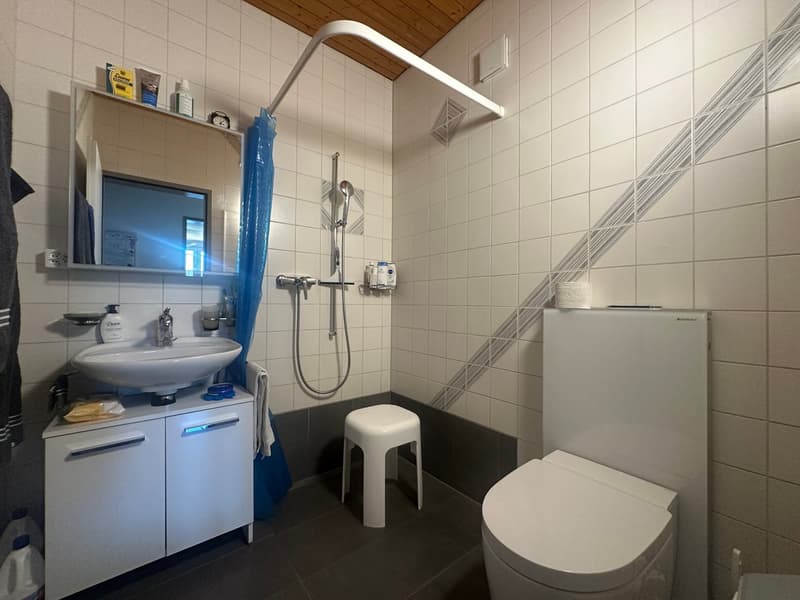 Appartement mansardé de 4,5 pièces confortable avec terrasse (5)