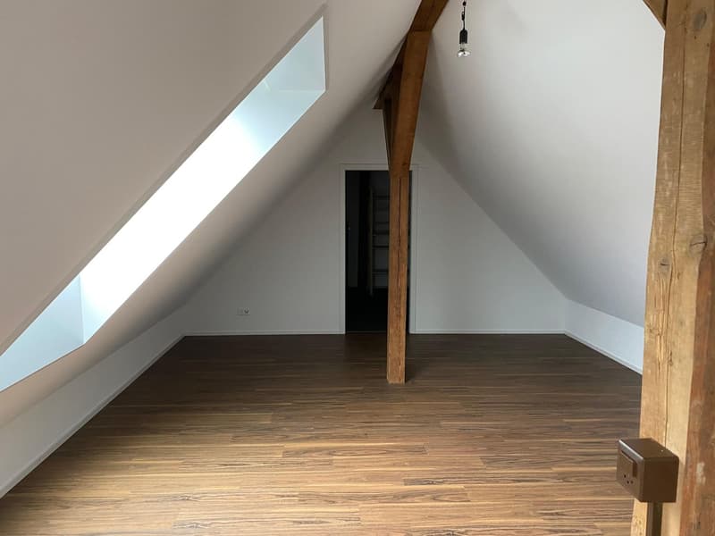 Appartamento mansardato di 5,5 locali elegante nel centro (7)