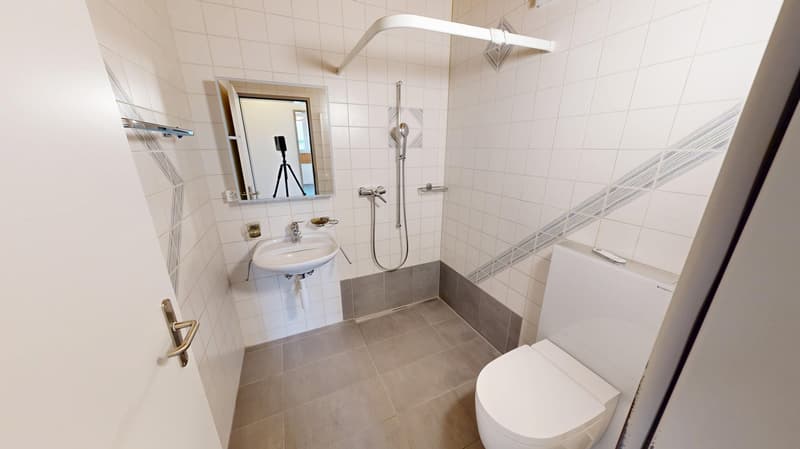 Grosszügige 4.5-Zimmer-Dachwohnung mit Charme in Pieterlen (6)
