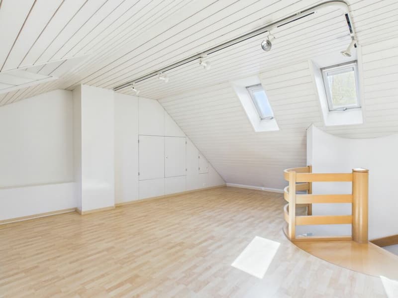 3 APPARTAMENTI ATTRAENTI NEL CENTRO STORICO PIÙ FABBRICATO ACCESSORIO (2)
