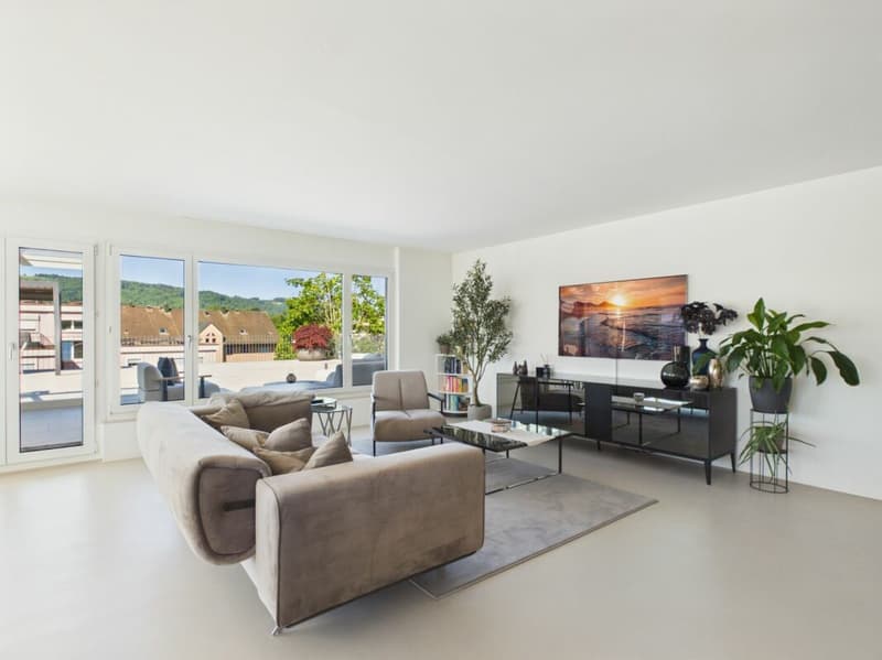 Light-Flooded Attic with Dreamlike Terrace (4)