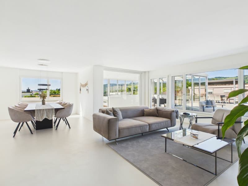Light-Flooded Attic with Dreamlike Terrace (2)