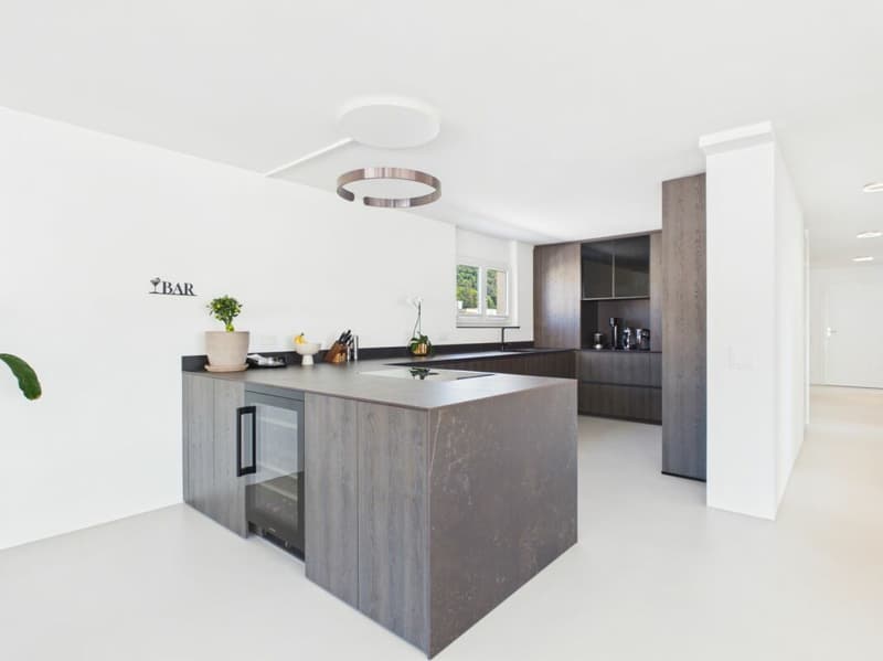 Light-Flooded Attic with Dreamlike Terrace (5)