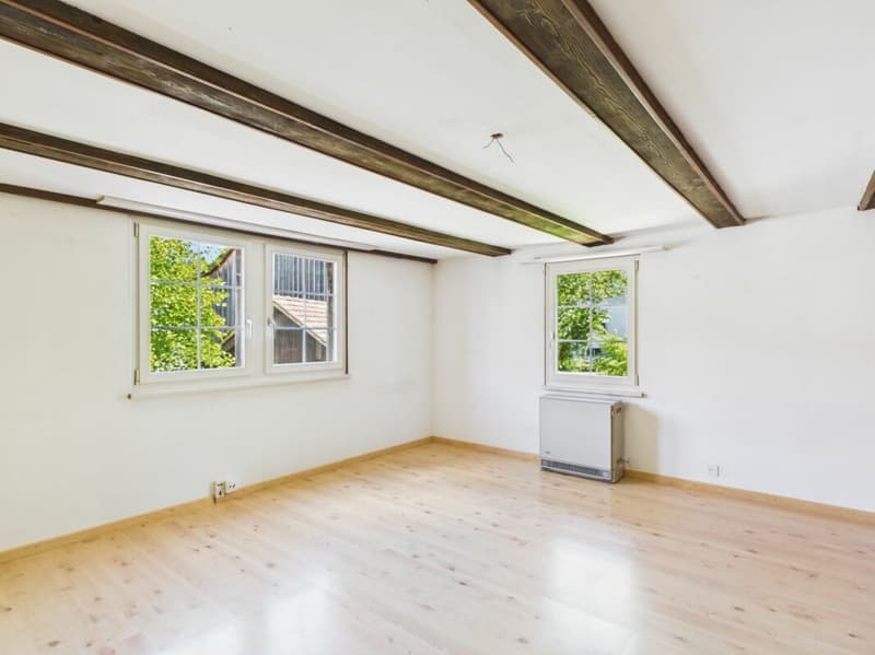 Half-timbered house with sunny garden and development potential (5)