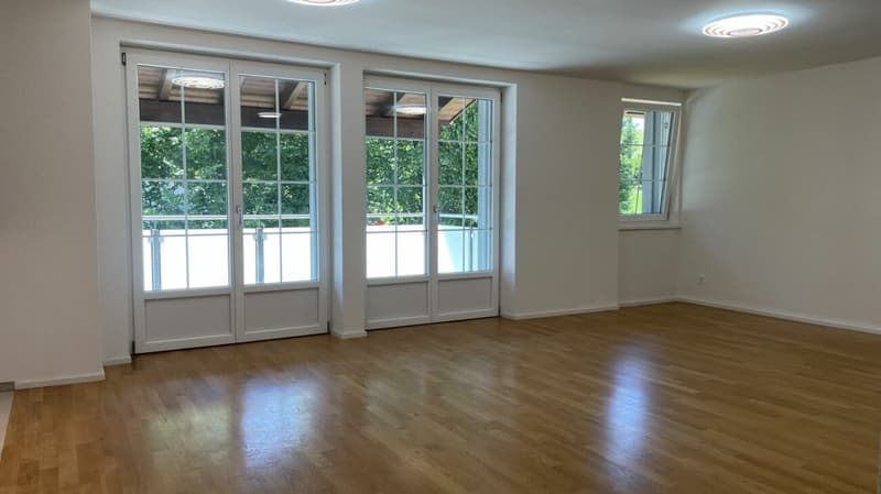 Modern apartment with a great view (2)