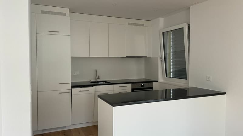 First occupancy in modern new building (4)