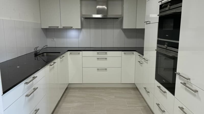 MODERNE WOHNUNG MIT GROSSER TERRASSE (3)