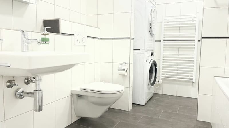 MODERNE WOHNUNG MIT GROSSER TERRASSE (5)