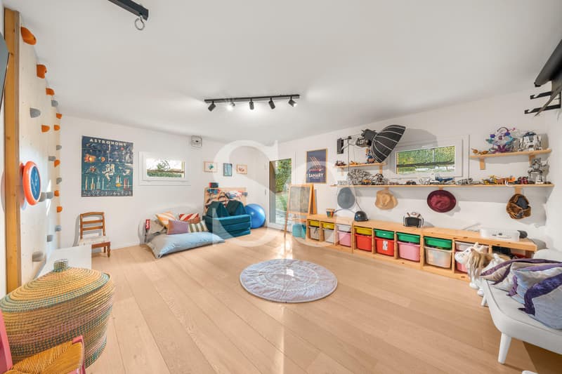 Exclusivity: Renovated Villa with Pool, Lake View and Mont-Blanc View (13)