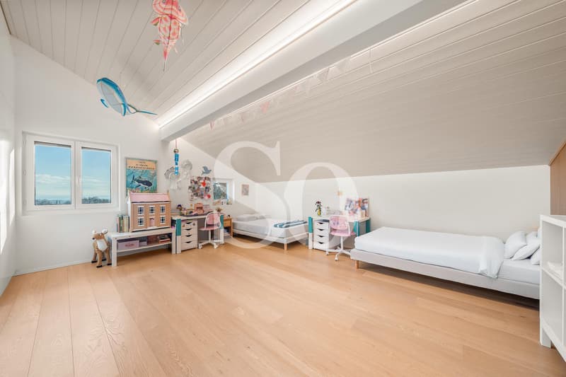 Exclusivity: Renovated Villa with Pool, Lake View and Mont-Blanc View (9)