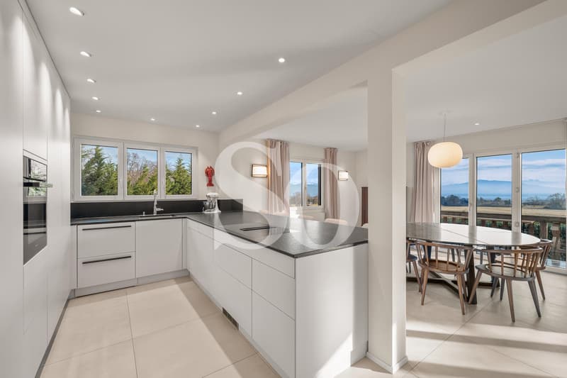 Exclusivity: Renovated Villa with Pool, Lake View and Mont-Blanc View (5)