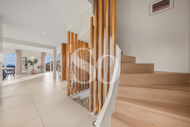 Exclusivity: Renovated Villa with Pool, Lake View and Mont-Blanc View (6)