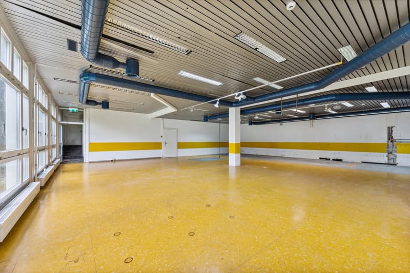 Attraktive Buro- und Gewerbeflaeche (625 m2) mit maximaler Flexibilitaet in Luzern-Littau (4)