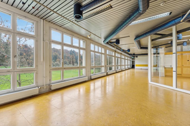 Attraktive Buro- und Gewerbeflaeche (625 m2) mit maximaler Flexibilitaet in Luzern-Littau (2)