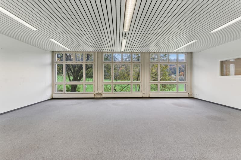 Attraktive Buro- und Gewerbeflaeche (625 m2) mit maximaler Flexibilitaet in Luzern-Littau (6)