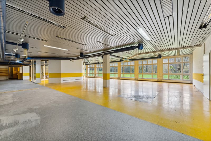Attraktive Buro- und Gewerbeflaeche (625 m2) mit maximaler Flexibilitaet in Luzern-Littau (3)