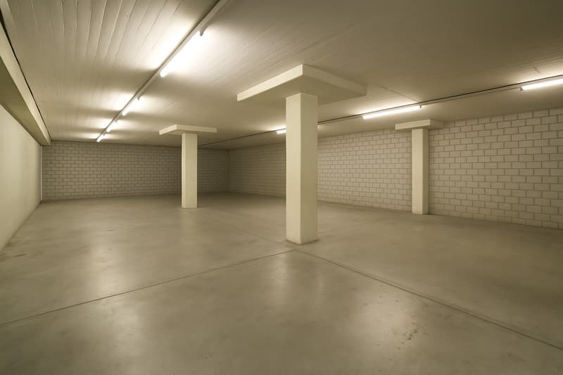 Attractive warehouse in the Dietikon industrial quarter (2)