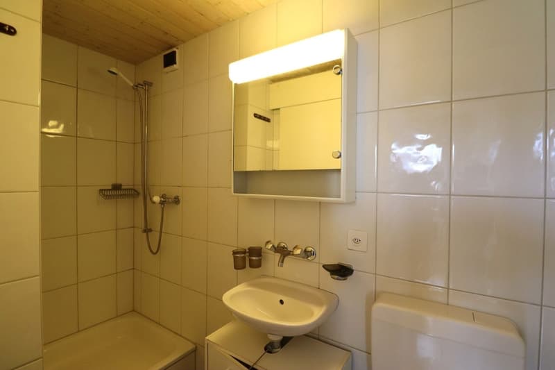Attraktive 1.5-Zimmerwohnung an zentraler Lage ? Ideal für Singles & Studierende! (7)