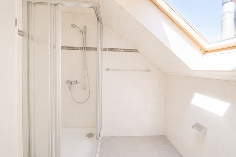 Dachwohnung mit Charme in Windisch (12)