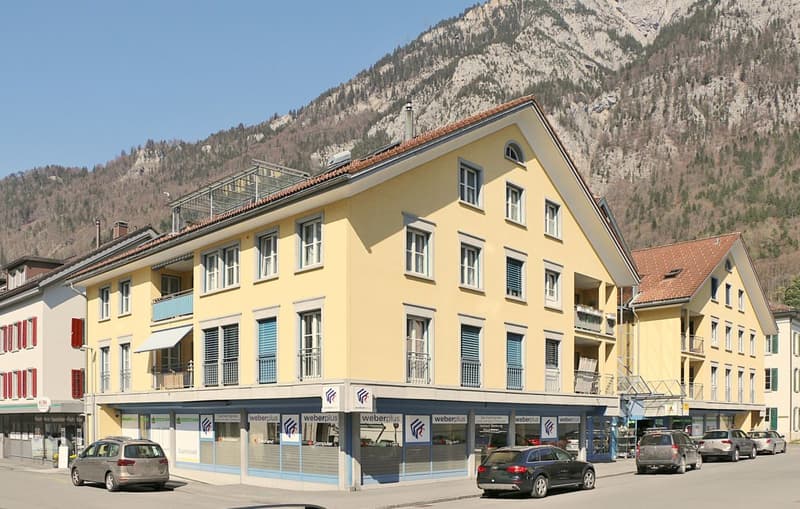 Attractive commercial space on the ground floor (2)