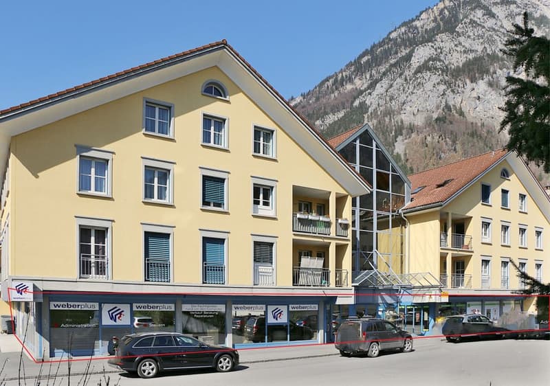 Attractive commercial space on the ground floor (3)