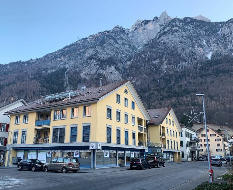 Attractive office and practice space/barrier-free accessible on the ground floor for rent (5)