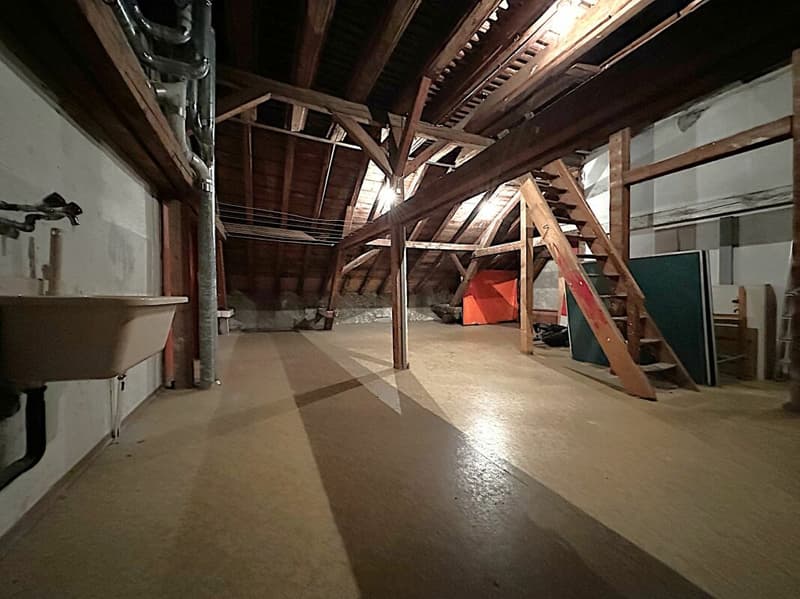 Wohn - und Geschäftshaus im Stadtzentrum von Glarus (10)