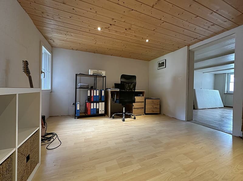 7.5 room single-family house with beautiful garden (7)
